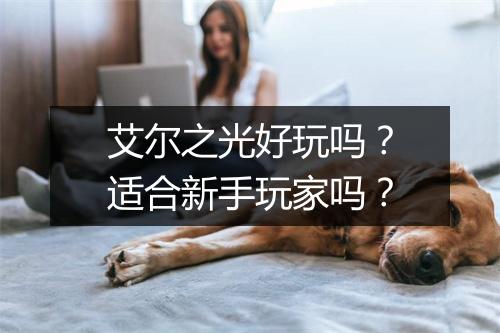 艾尔之光好玩吗？适合新手玩家吗？