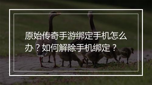 原始传奇手游绑定手机怎么办？如何解除手机绑定？