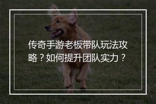 传奇手游老板带队玩法攻略？如何提升团队实力？