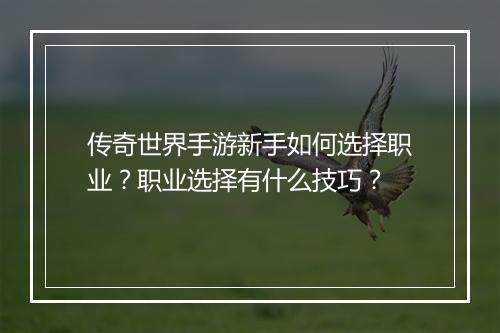 传奇世界手游新手如何选择职业？职业选择有什么技巧？