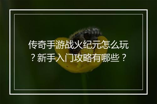 传奇手游战火纪元怎么玩？新手入门攻略有哪些？