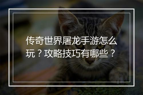 传奇世界屠龙手游怎么玩？攻略技巧有哪些？
