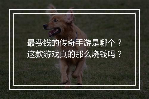 最费钱的传奇手游是哪个？这款游戏真的那么烧钱吗？
