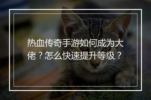 热血传奇手游如何成为大佬？怎么快速提升等级？