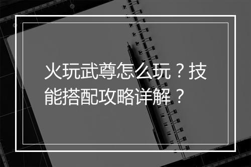 火玩武尊怎么玩？技能搭配攻略详解？