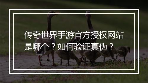 传奇世界手游官方授权网站是哪个？如何验证真伪？