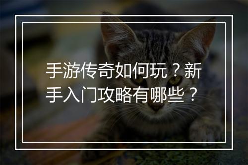 手游传奇如何玩？新手入门攻略有哪些？