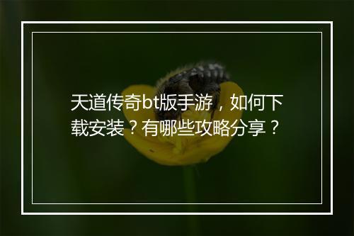 天道传奇bt版手游，如何下载安装？有哪些攻略分享？