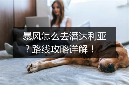 暴风怎么去潘达利亚？路线攻略详解！
