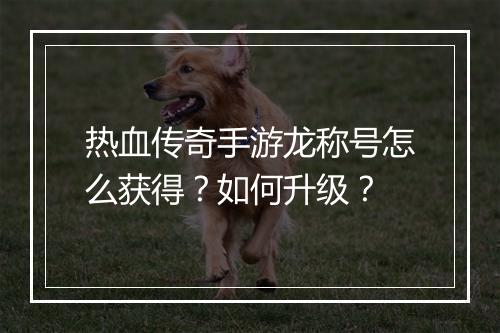热血传奇手游龙称号怎么获得？如何升级？