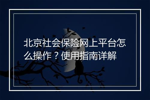 北京社会保险网上平台怎么操作？使用指南详解