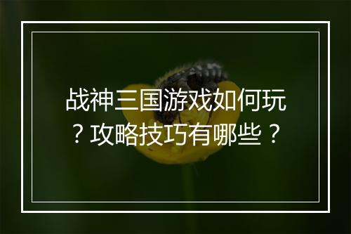 战神三国游戏如何玩？攻略技巧有哪些？