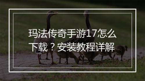 玛法传奇手游17怎么下载？安装教程详解