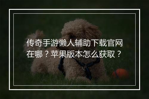 传奇手游懒人辅助下载官网在哪？苹果版本怎么获取？