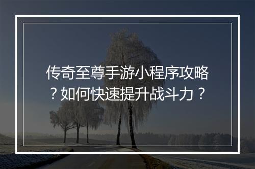 传奇至尊手游小程序攻略？如何快速提升战斗力？