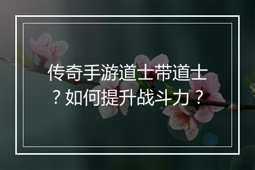 传奇手游道士带道士？如何提升战斗力？