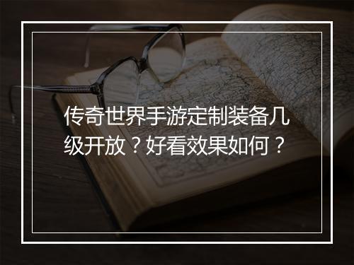 传奇世界手游定制装备几级开放？好看效果如何？