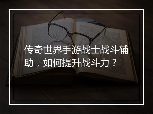 传奇世界手游战士战斗辅助，如何提升战斗力？