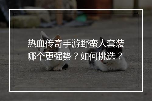 热血传奇手游野蛮人套装哪个更强势？如何挑选？