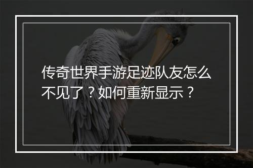 传奇世界手游足迹队友怎么不见了？如何重新显示？