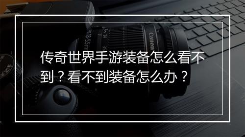 传奇世界手游装备怎么看不到？看不到装备怎么办？
