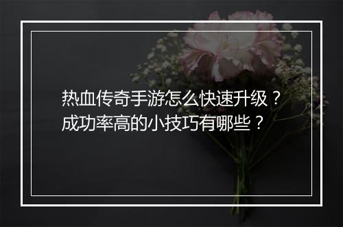 热血传奇手游怎么快速升级？成功率高的小技巧有哪些？