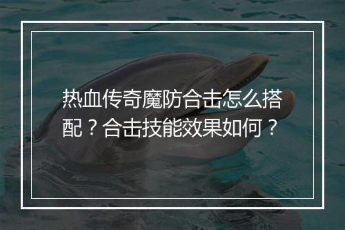 热血传奇魔防合击怎么搭配？合击技能效果如何？
