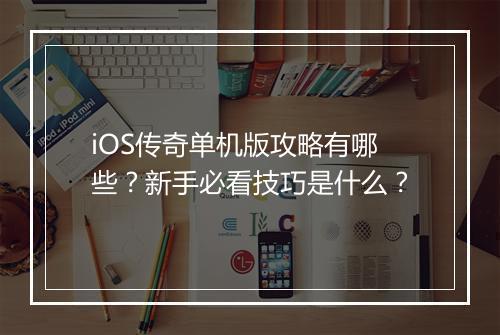 iOS传奇单机版攻略有哪些？新手必看技巧是什么？