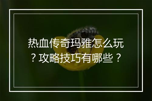 热血传奇玛雅怎么玩？攻略技巧有哪些？