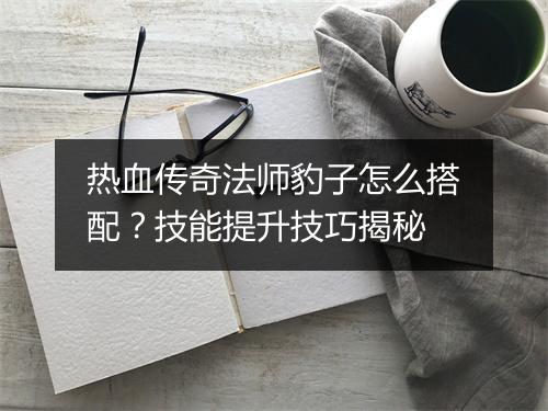 热血传奇法师豹子怎么搭配？技能提升技巧揭秘