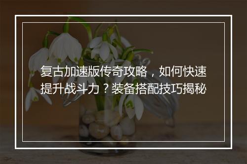 复古加速版传奇攻略，如何快速提升战斗力？装备搭配技巧揭秘