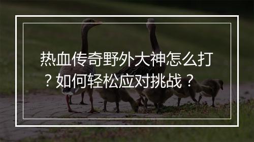 热血传奇野外大神怎么打？如何轻松应对挑战？