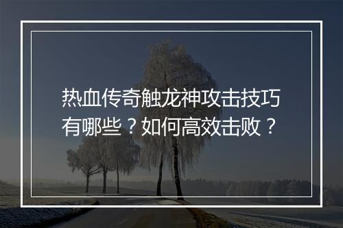 热血传奇触龙神攻击技巧有哪些？如何高效击败？