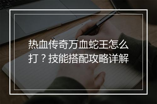 热血传奇万血蛇王怎么打？技能搭配攻略详解