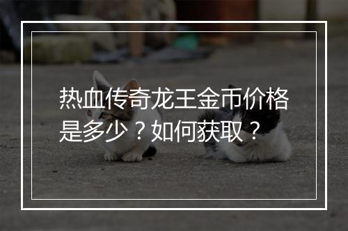 热血传奇龙王金币价格是多少？如何获取？