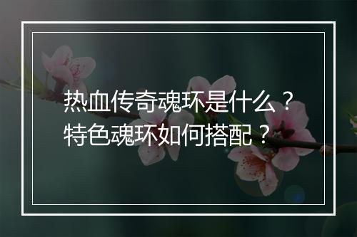 热血传奇魂环是什么？特色魂环如何搭配？