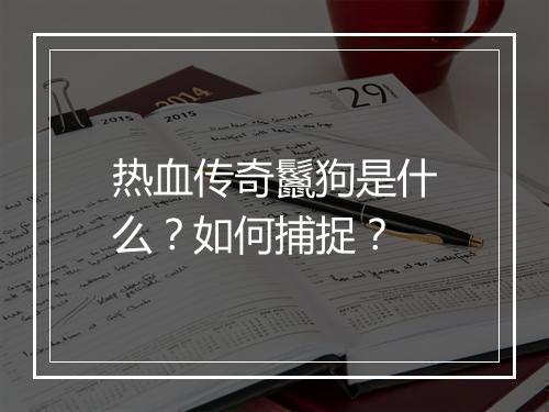 热血传奇鬣狗是什么？如何捕捉？