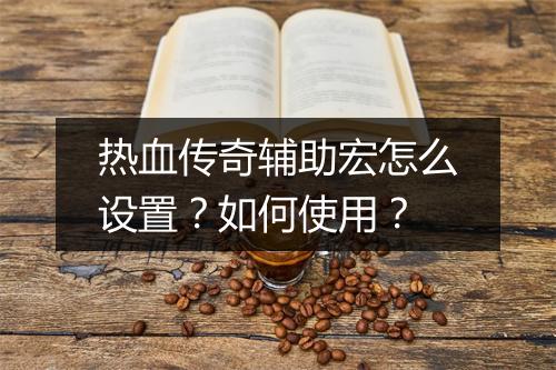 热血传奇辅助宏怎么设置？如何使用？