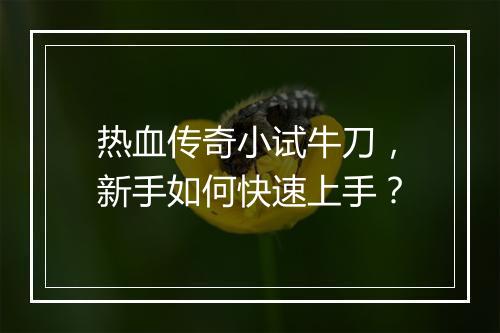 热血传奇小试牛刀，新手如何快速上手？