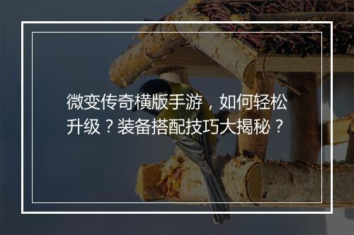 微变传奇横版手游，如何轻松升级？装备搭配技巧大揭秘？