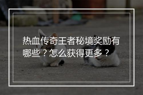 热血传奇王者秘境奖励有哪些？怎么获得更多？