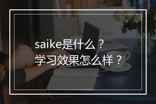 saike是什么？学习效果怎么样？