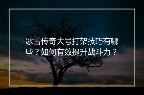 冰雪传奇大号打架技巧有哪些？如何有效提升战斗力？