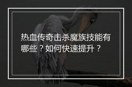 热血传奇击杀魔族技能有哪些？如何快速提升？