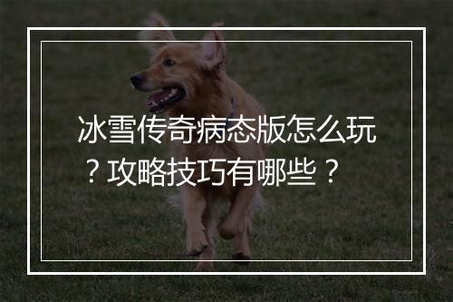 冰雪传奇病态版怎么玩？攻略技巧有哪些？