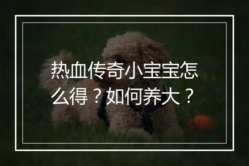 热血传奇小宝宝怎么得？如何养大？