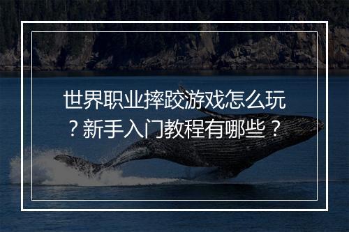世界职业摔跤游戏怎么玩？新手入门教程有哪些？