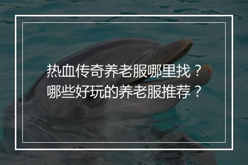 热血传奇养老服哪里找？哪些好玩的养老服推荐？