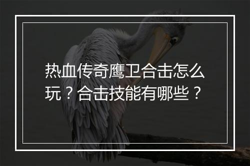 热血传奇鹰卫合击怎么玩？合击技能有哪些？