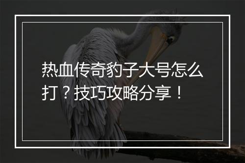 热血传奇豹子大号怎么打？技巧攻略分享！
